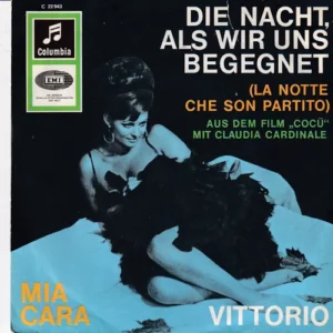 Vittorio - Die Nacht, als wir uns begegnet