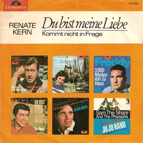 Kern Renate - Du bist meine Liebe (nur Cover) – Bild 2
