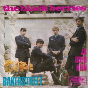 Blackberries - Bakerstreet