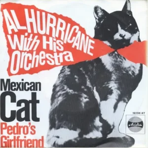 Hurricane Al - Mexican cat