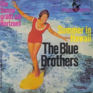 Blue Brothers - Summer In Hawaii